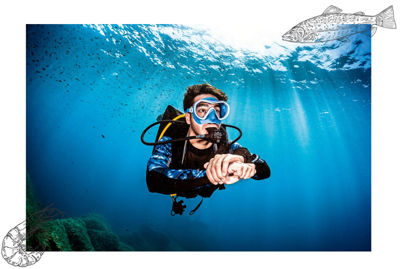 Photo d'un plongeur bien stabilisé sous l'eau pour représenter la spécialité Perfect Buoyancy