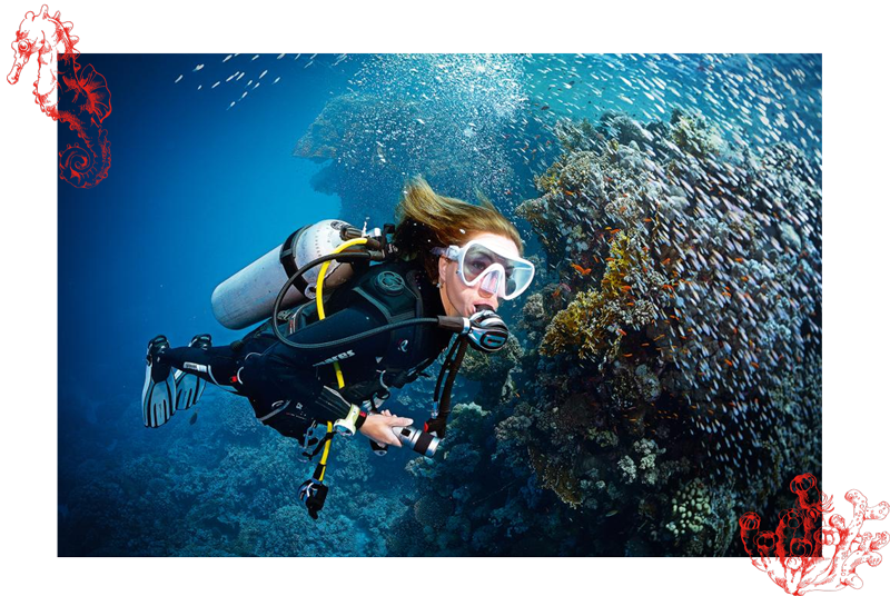 Photo d'une plongeuse attentive sous l'eau pour représenter la spécialité React Right