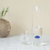 Bouteille en borosilicate avec une méduse accrochée au fond