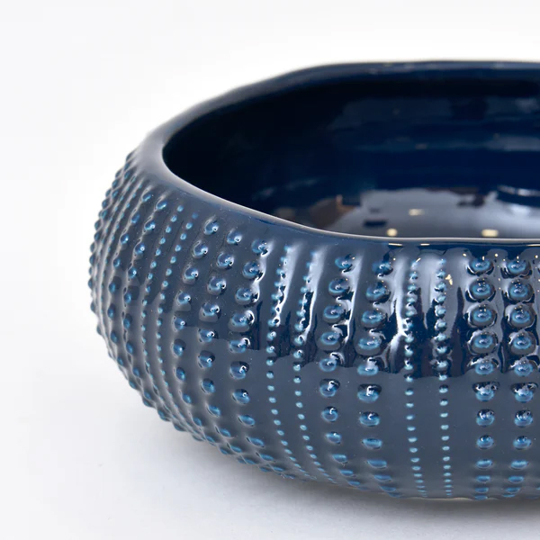 Détails texturés d'un grand bol oursin bleu